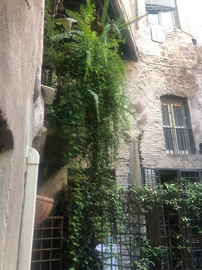 Pantheon, Campo De Fiori Mini Garden * Rom